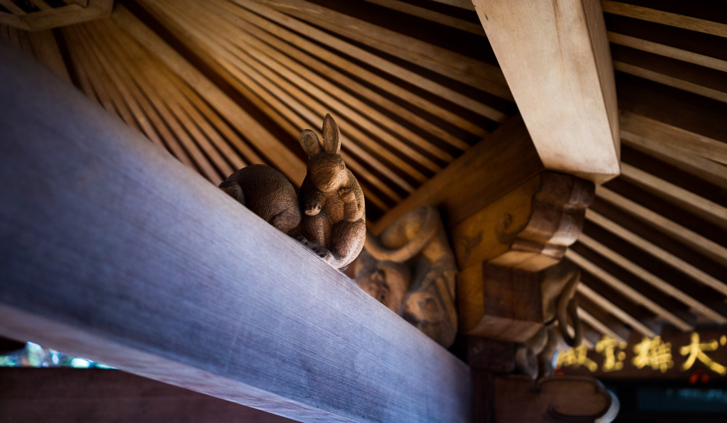 うさぎIN神社