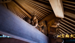うさぎIN神社