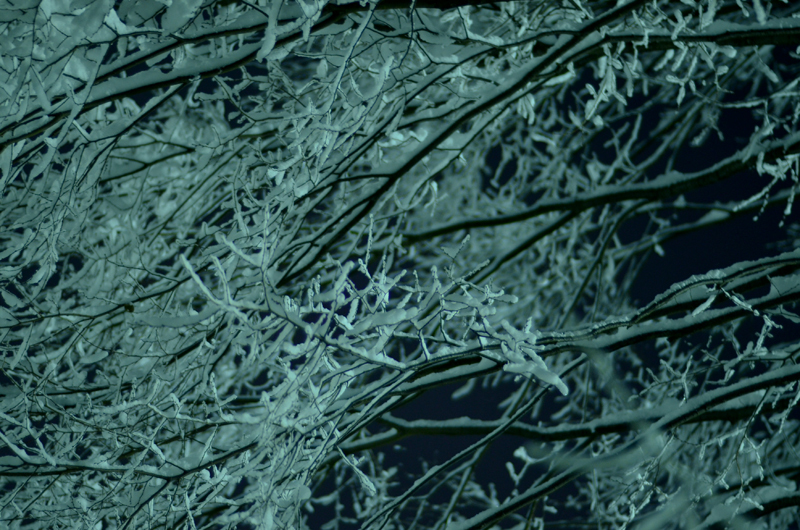 雪枝