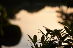 兼六園