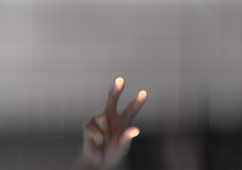 意志