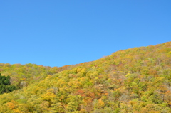 青空の下　紅葉が進みました　空気も澄んでいます