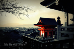 京都
