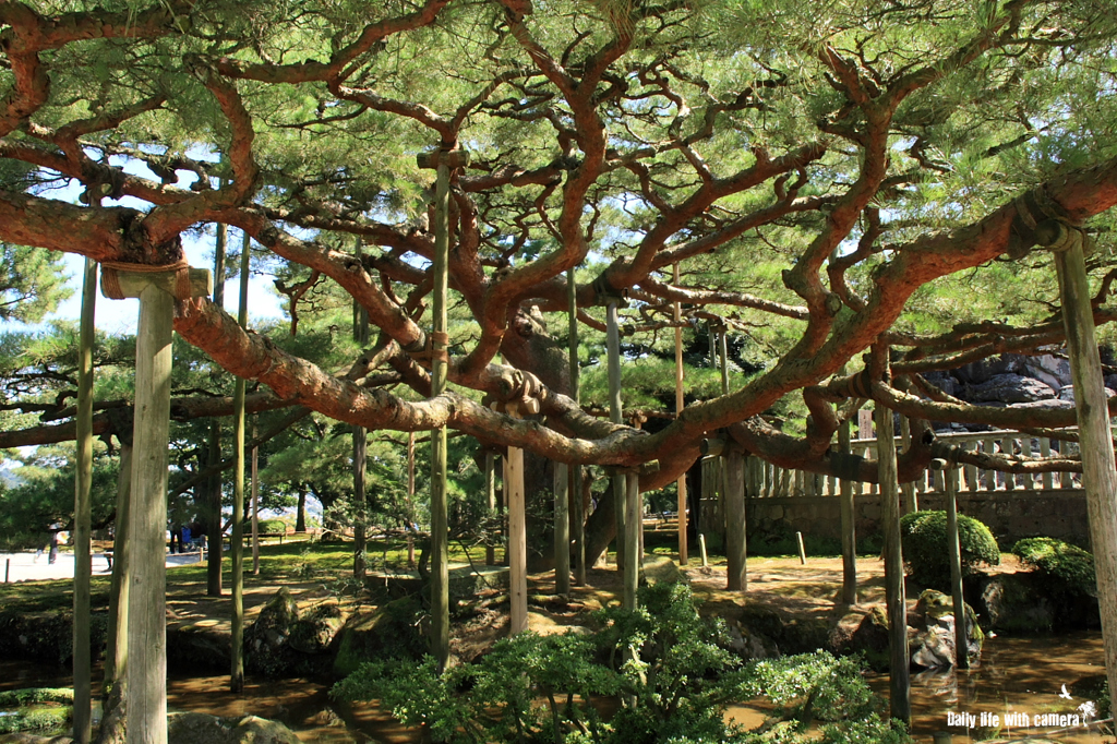 兼六園