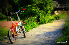 サイクリング
