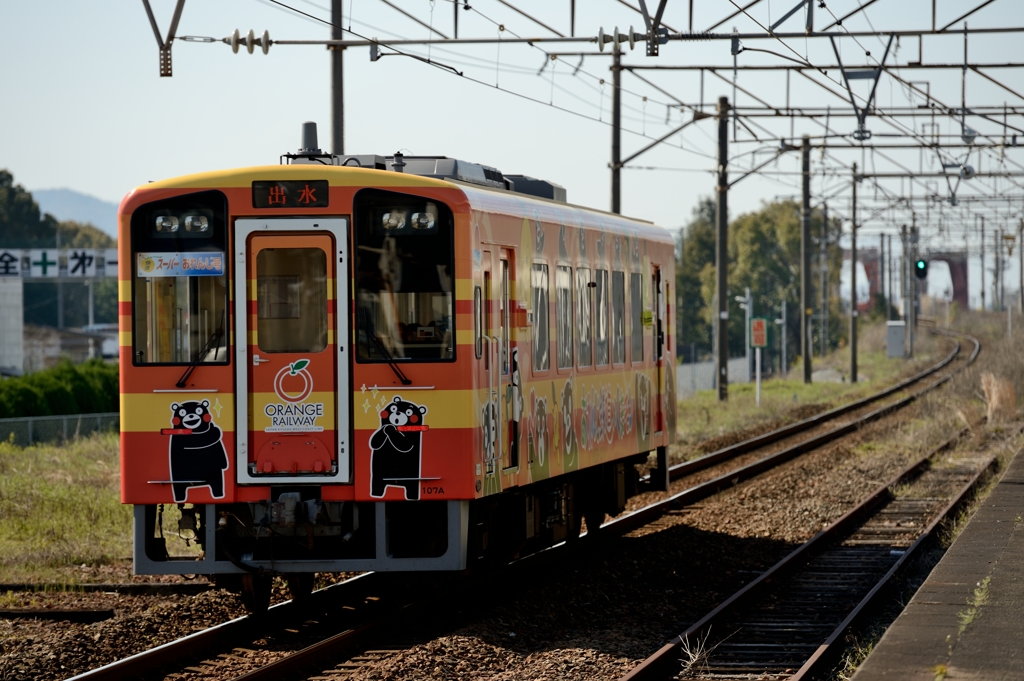 肥薩オレンジ鉄道 × くまモン