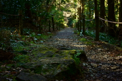箱根旧街道を歩く ４