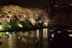 千鳥ヶ淵緑道から