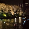 千鳥ヶ淵緑道から