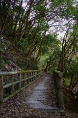 箱根旧街道を歩く ２