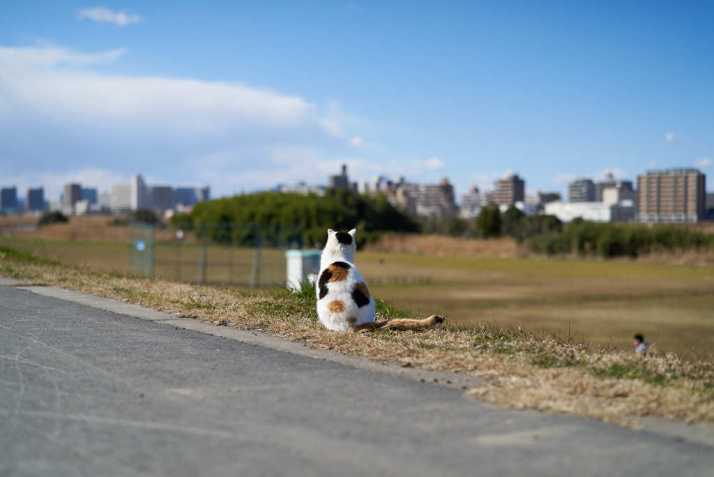 うららかな陽射し