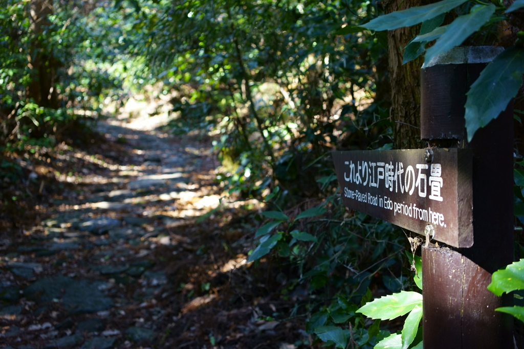 箱根旧街道を歩く ５