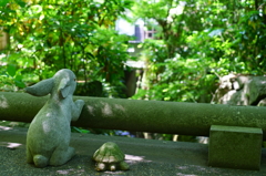 うさぎとかめ