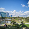 私が知っている丘からの風景