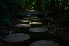 箱根旧街道を歩く ３