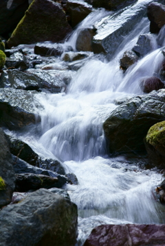 箱根湯本 清水と　2