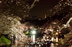未完の花の額