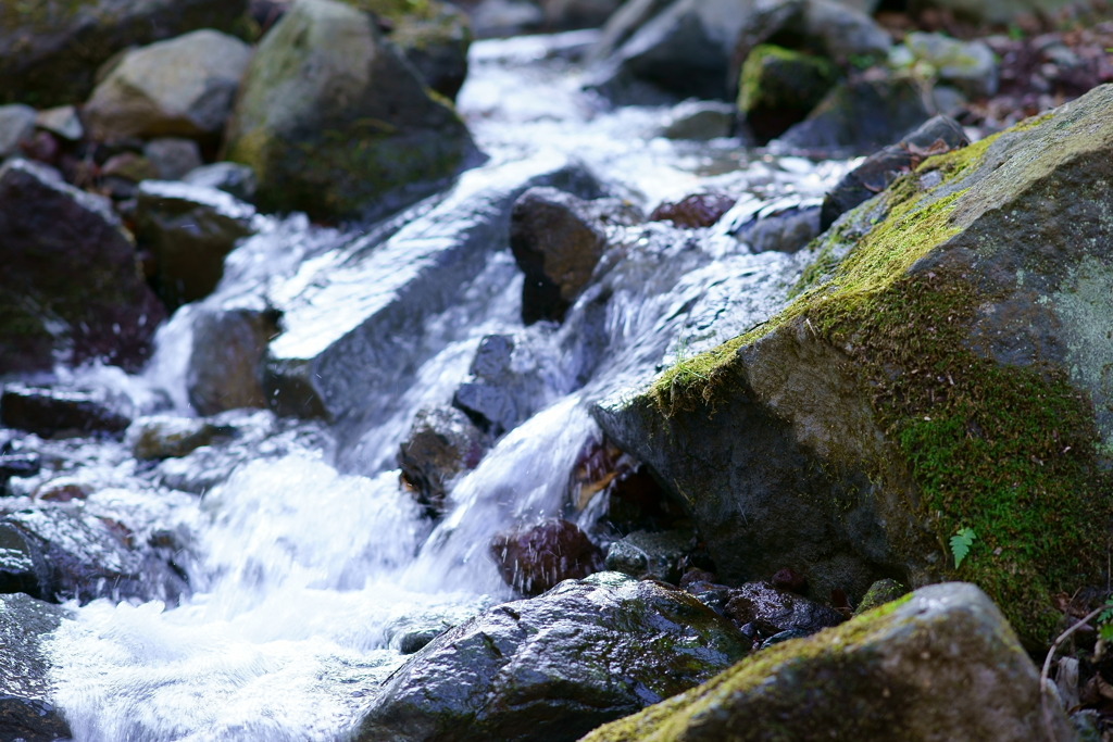 箱根湯本 清水と　3