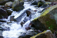 箱根湯本 清水と　3