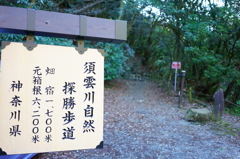 箱根旧街道を歩く 1
