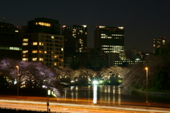 千鳥ヶ淵 夜景 85mm角