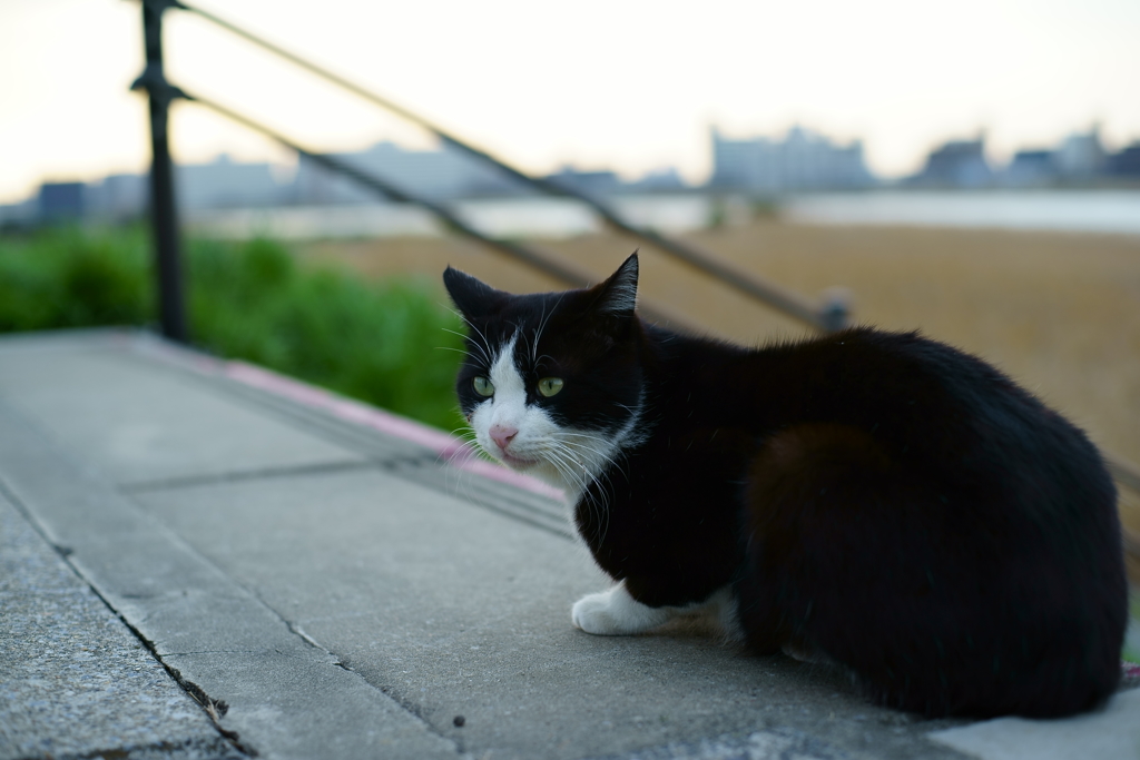 夕暮れのひととき