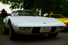 Lancia Stratos HF Stradale　　front mask 