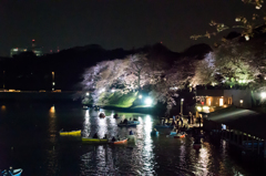 千鳥ヶ淵 夜の船着場