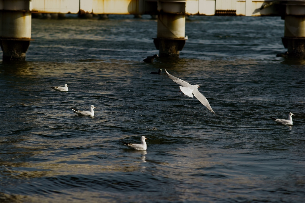 TAKE OFF