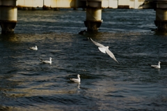 TAKE OFF