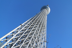 東京スカイツリーを見上げて