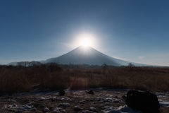 朝霧の朝に