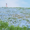 丘を歩けば