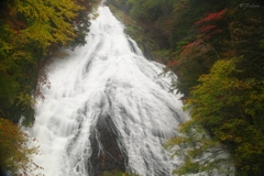 秋雨の湯滝