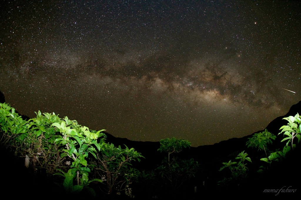 夜空仰げば・・・