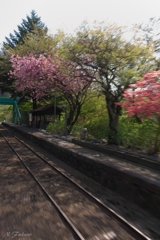 旅に出て…