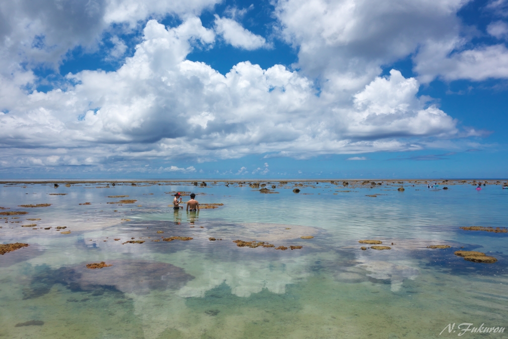 Natural pool