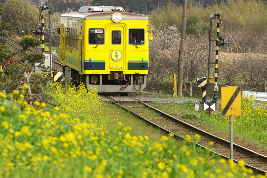 ＩＳＵＭI　ＲＡＩＬ