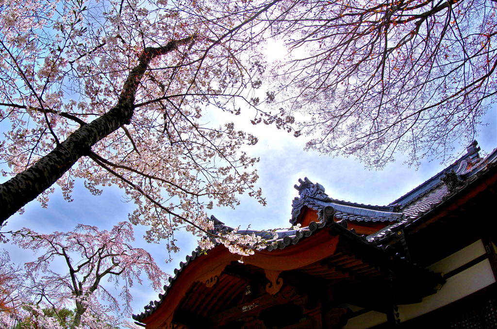 懐古神社