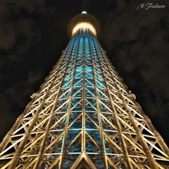 THE TOWER Ⅱ