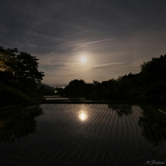 月夜野