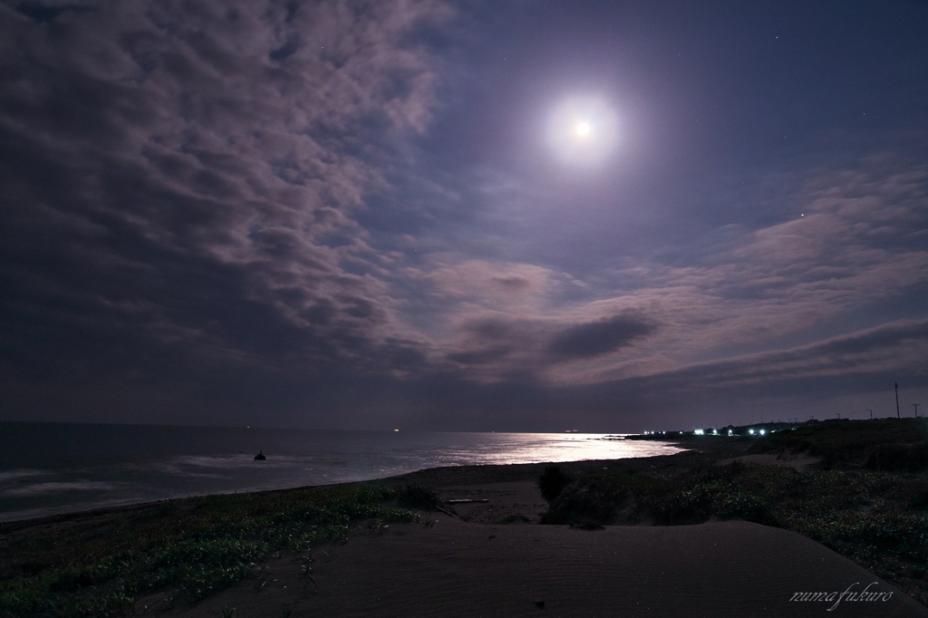 白浜月夜