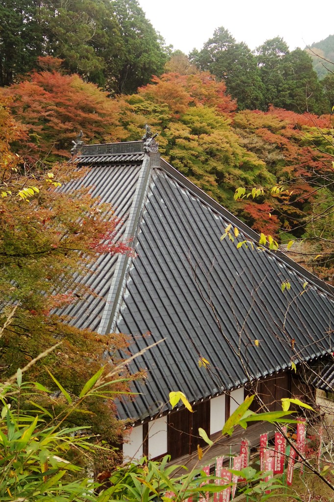 瓦と紅葉