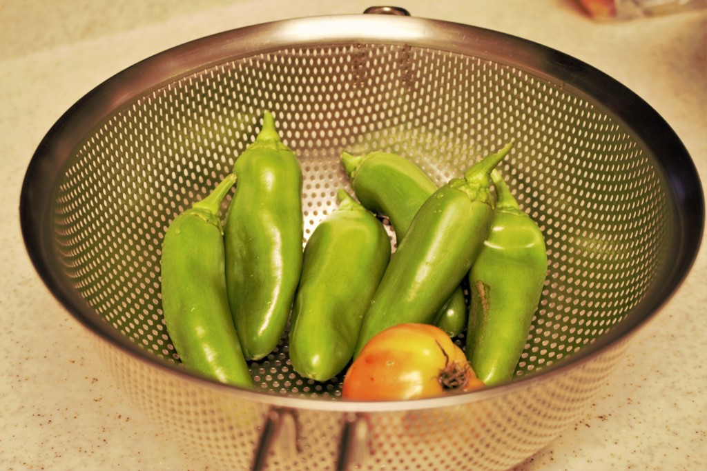 自家製夏野菜。今年最後の収穫かな。