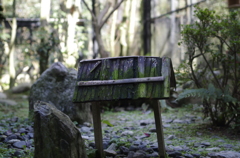 鳥の餌小屋なのに！なんだこれ！いい感じにコケ生えてる！