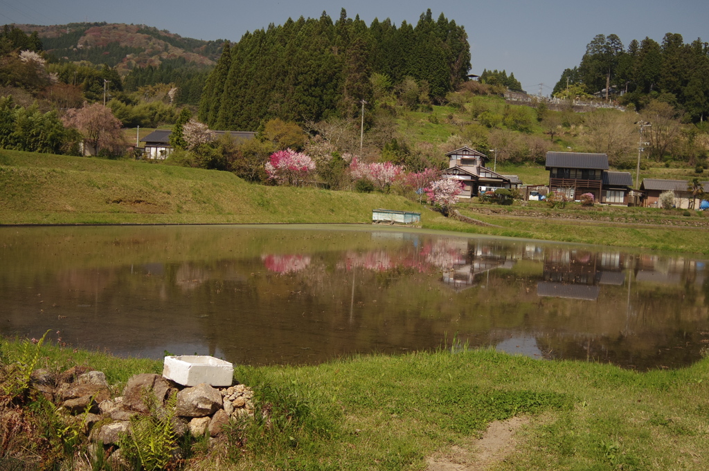 田園風景