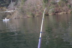 夢を釣りに来ました！