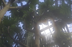 ハートっぽかった。