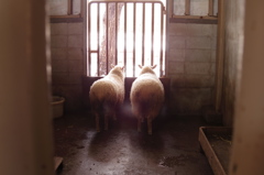 外・・・行きたい。