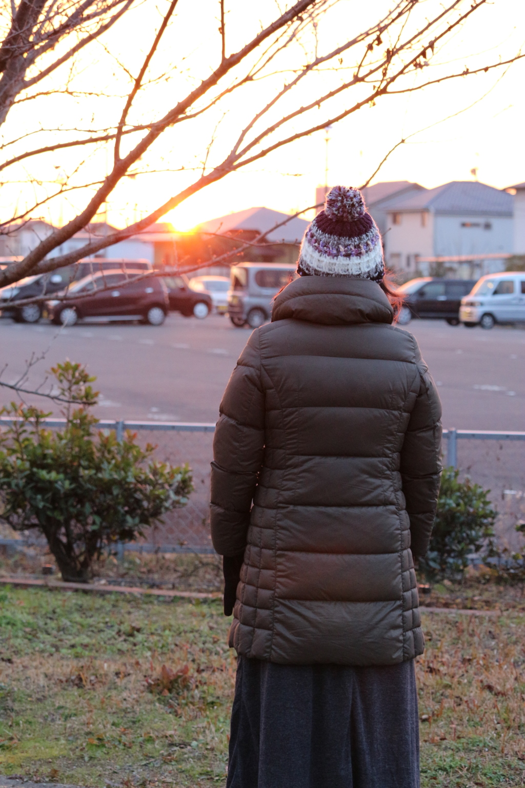 元旦と妻